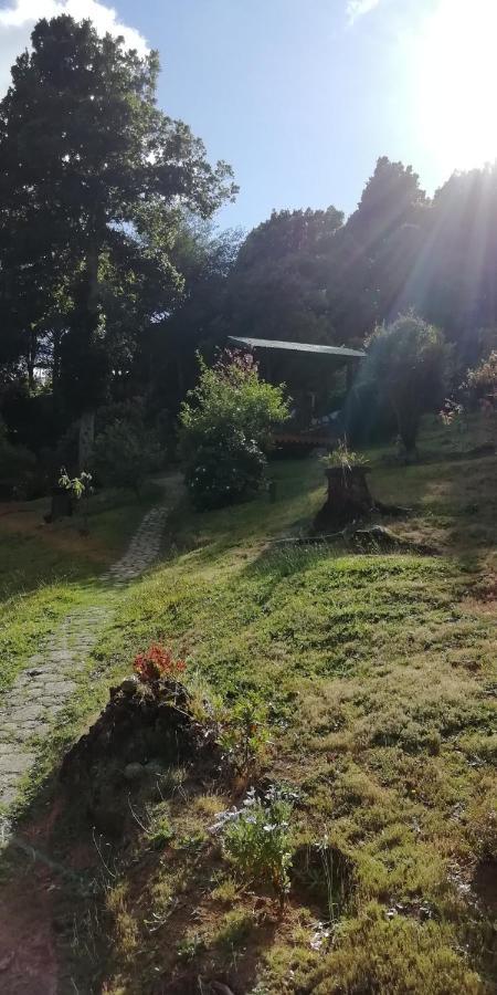 Miriam'S Quetzals Lodge San Gerardo de Dota Exterior photo