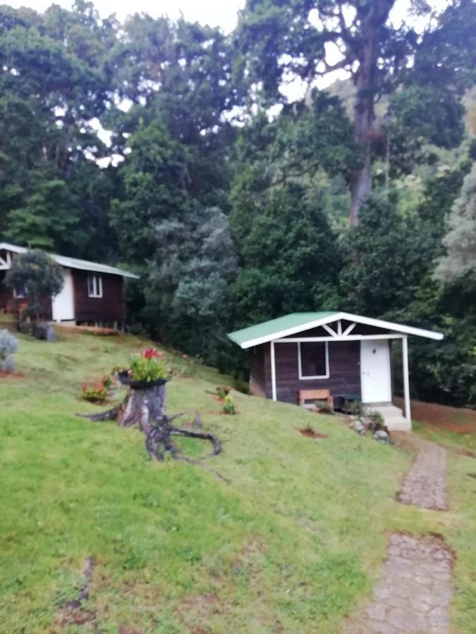 Miriam'S Quetzals Lodge San Gerardo de Dota Exterior photo