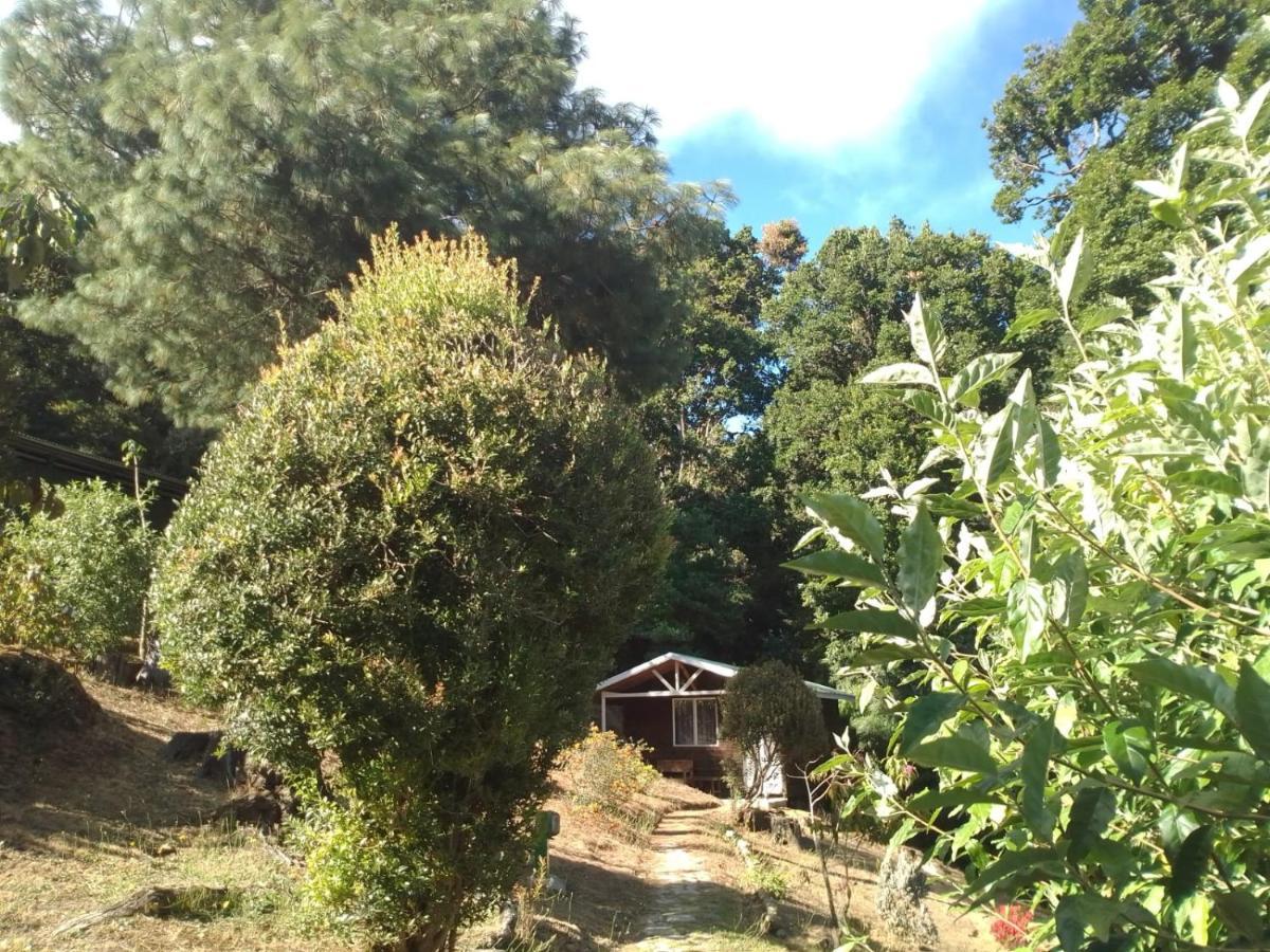 Miriam'S Quetzals Lodge San Gerardo de Dota Exterior photo