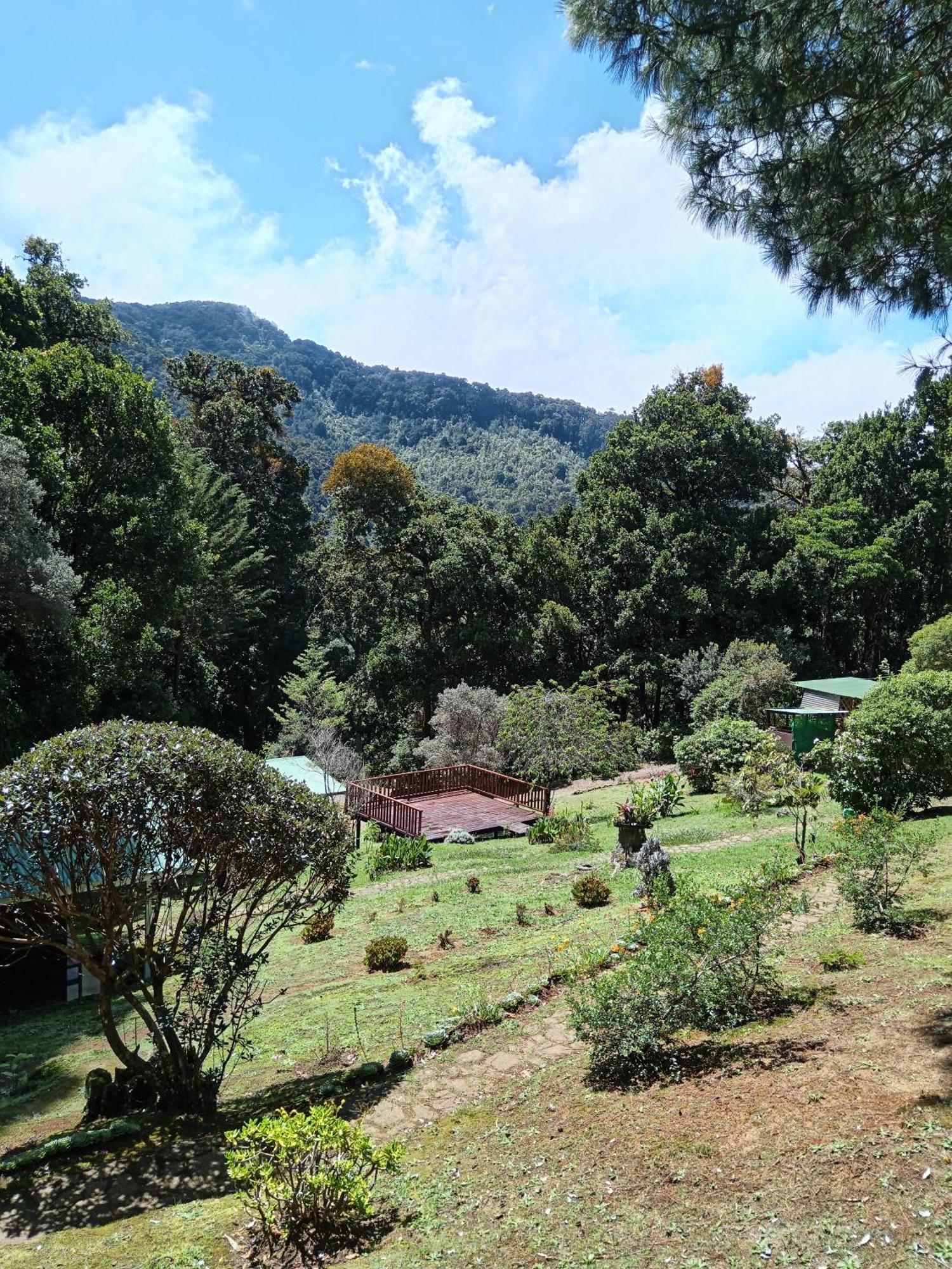 Miriam'S Quetzals Lodge San Gerardo de Dota Exterior photo