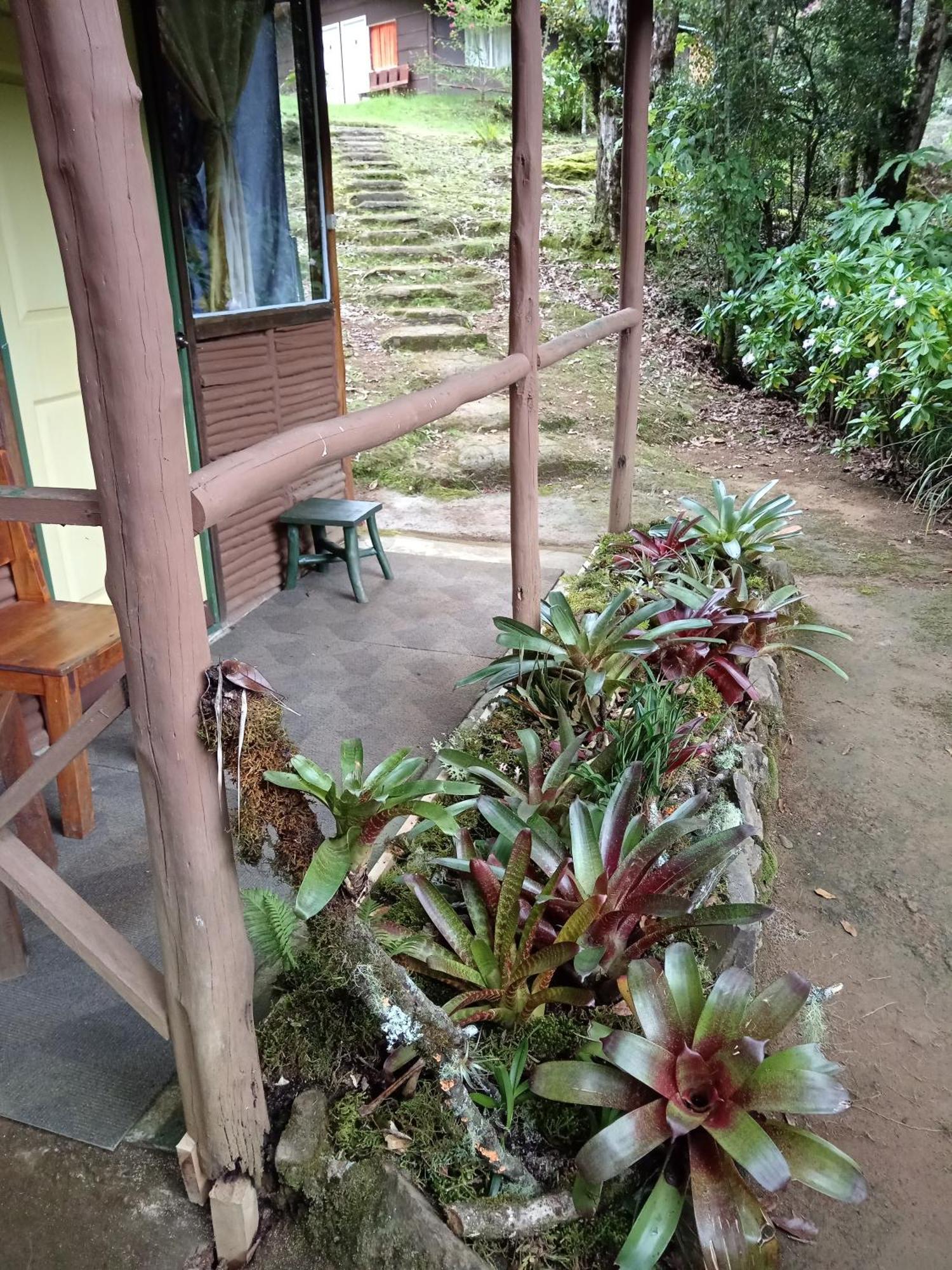 Miriam'S Quetzals Lodge San Gerardo de Dota Exterior photo