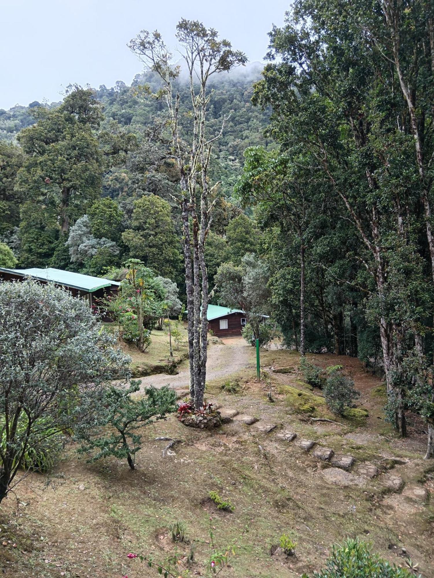 Miriam'S Quetzals Lodge San Gerardo de Dota Exterior photo