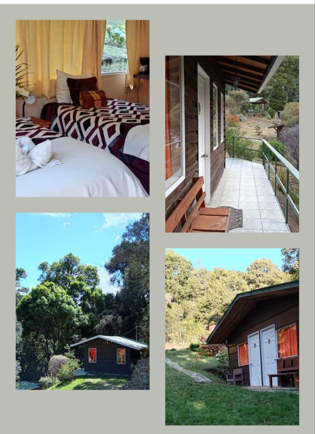 Miriam'S Quetzals Lodge San Gerardo de Dota Exterior photo