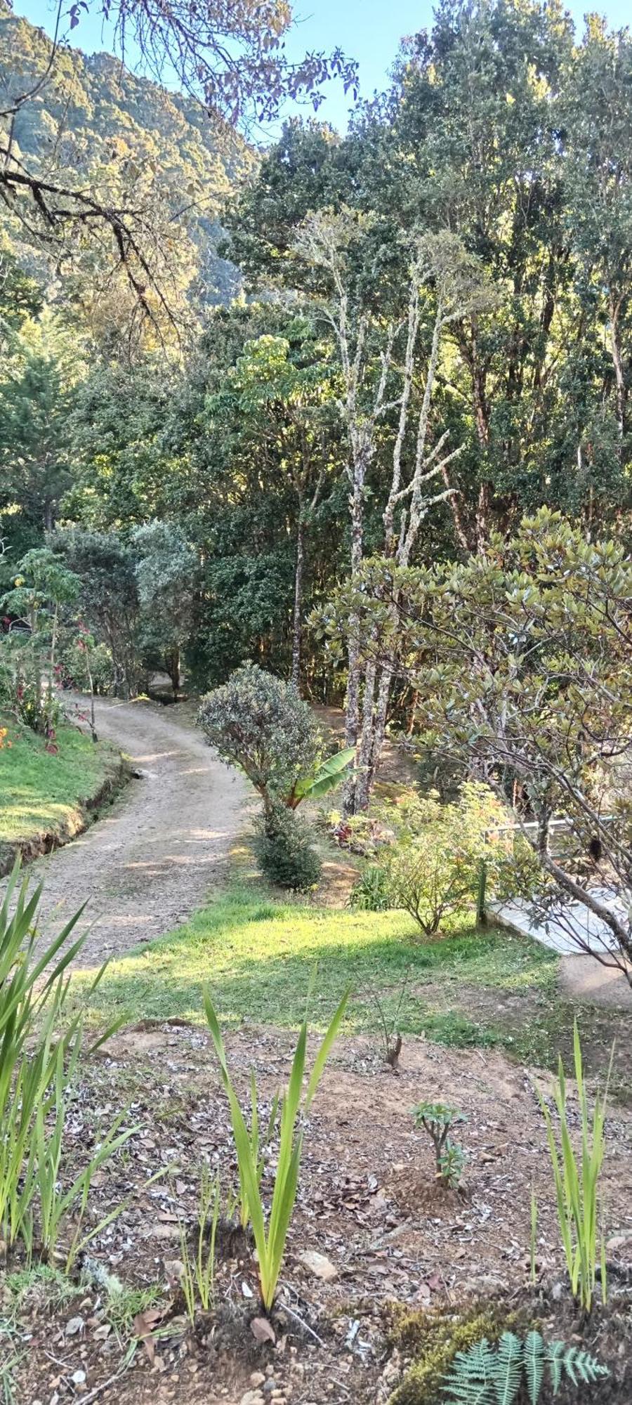 Miriam'S Quetzals Lodge San Gerardo de Dota Exterior photo