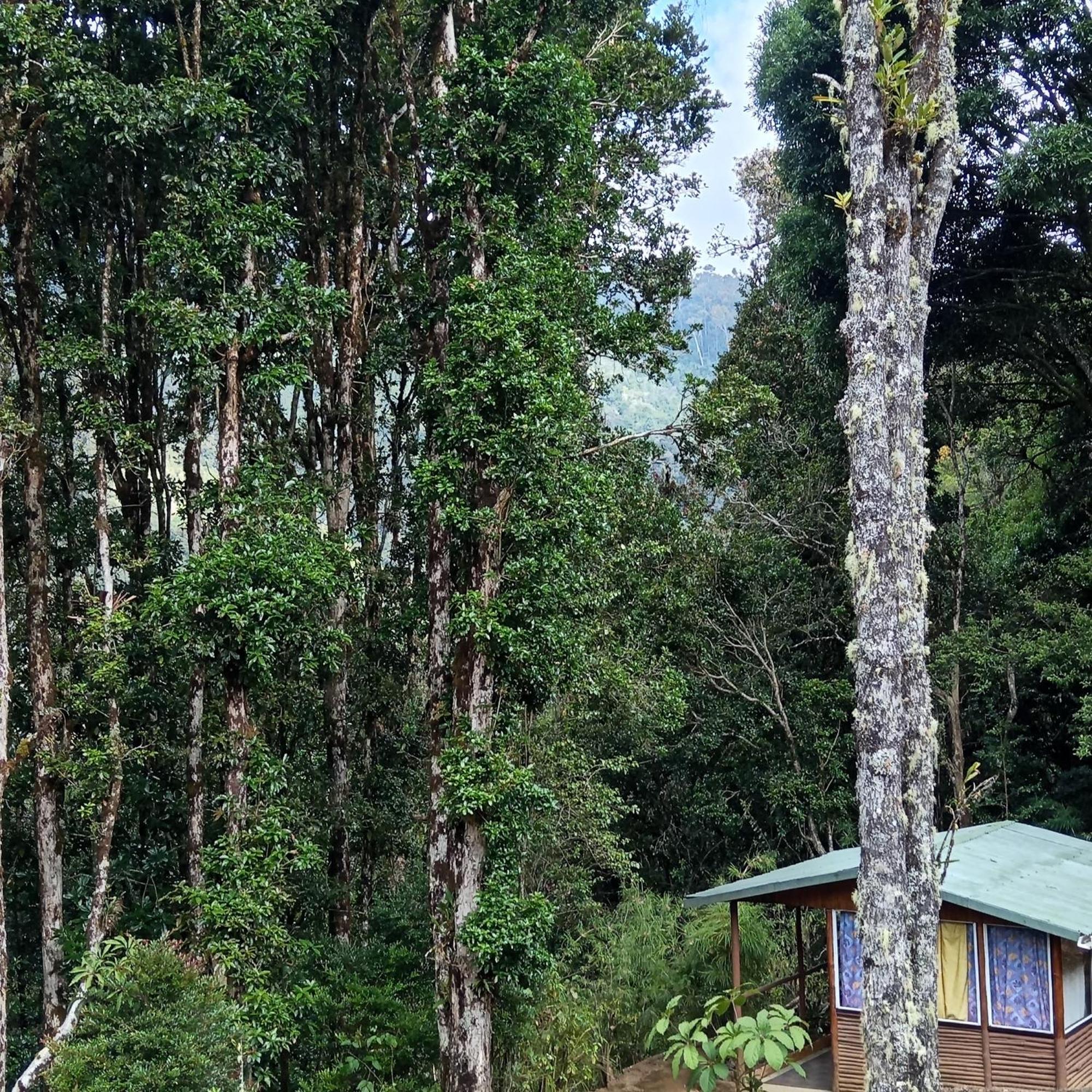 Miriam'S Quetzals Lodge San Gerardo de Dota Exterior photo