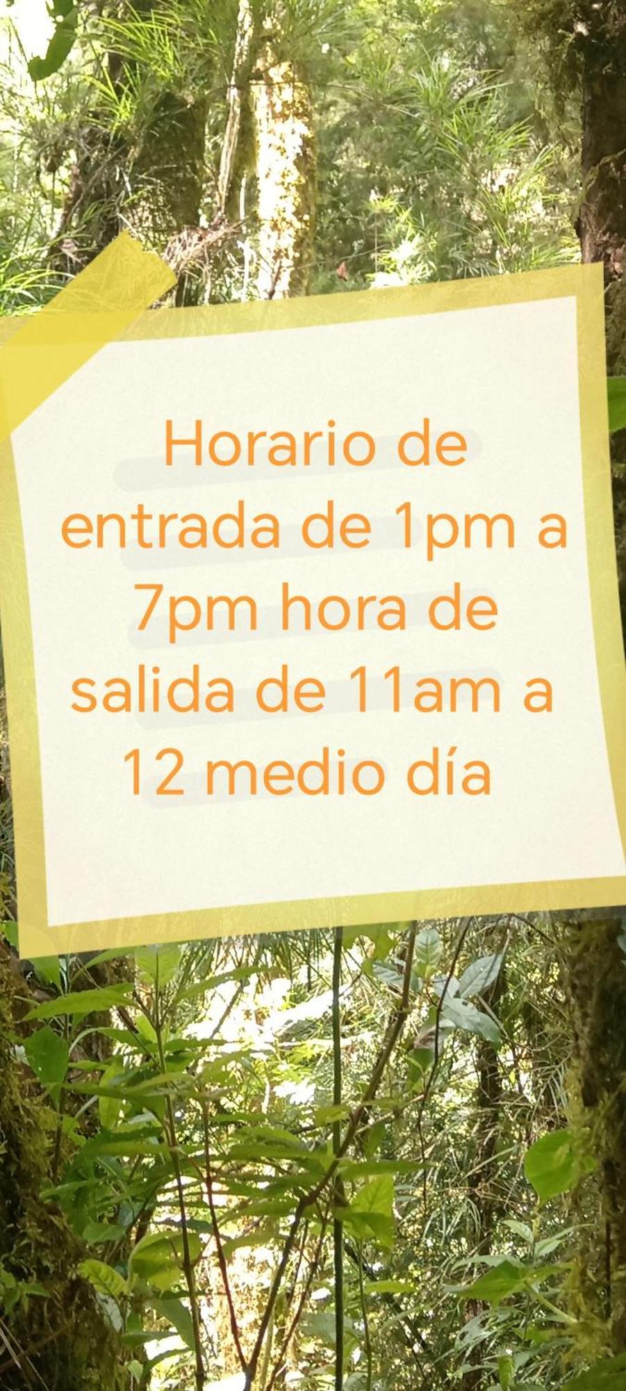 Miriam'S Quetzals Lodge San Gerardo de Dota Exterior photo