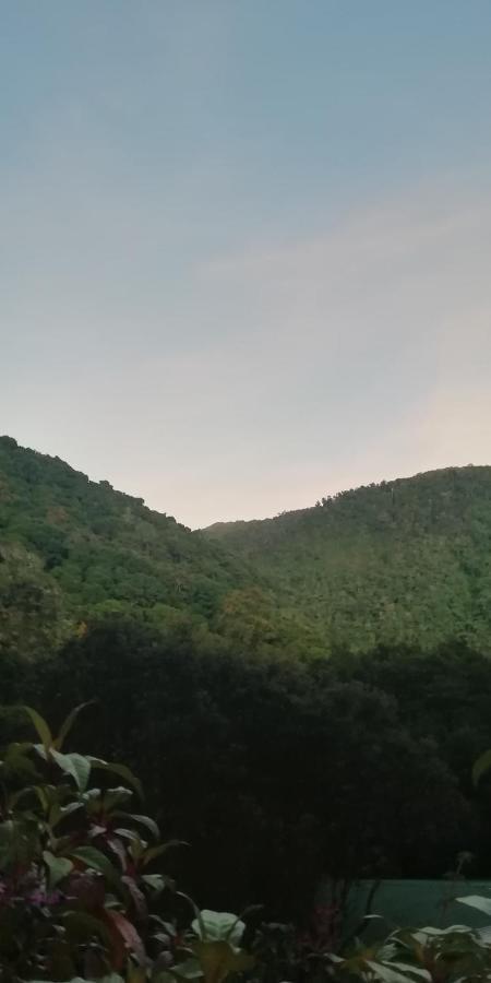Miriam'S Quetzals Lodge San Gerardo de Dota Exterior photo